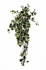 004 Veštaćke lozice   